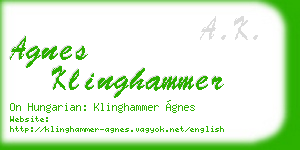agnes klinghammer business card