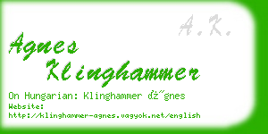 agnes klinghammer business card